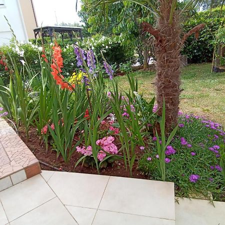 Ližnjan Bluegum Apartments المظهر الخارجي الصورة